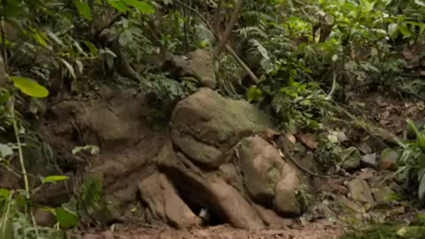 How to make sure 😀😀😀 to be there for the hotel room for the