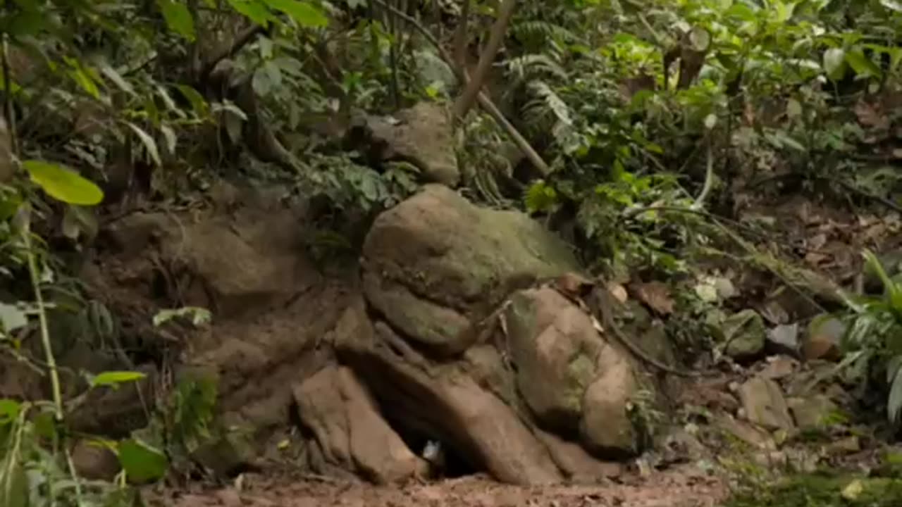 How to make sure 😀😀😀 to be there for the hotel room for the