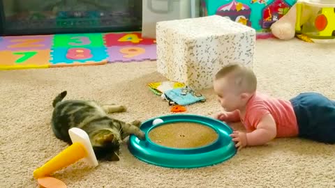 Funny Baby Playing With pet