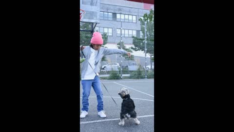 Cutes dogs | Cutest dog in the world | Cute dogs clips