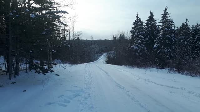 Winter fun / plaisir d'hiver !