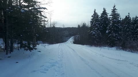 Winter fun / plaisir d'hiver !