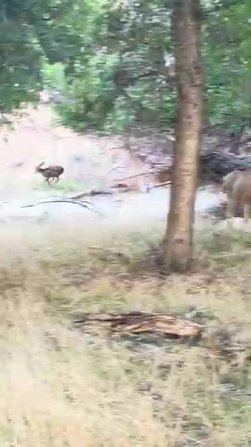 Look Who Joined The Party