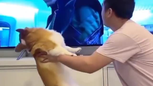 He found out what Loki actually wants