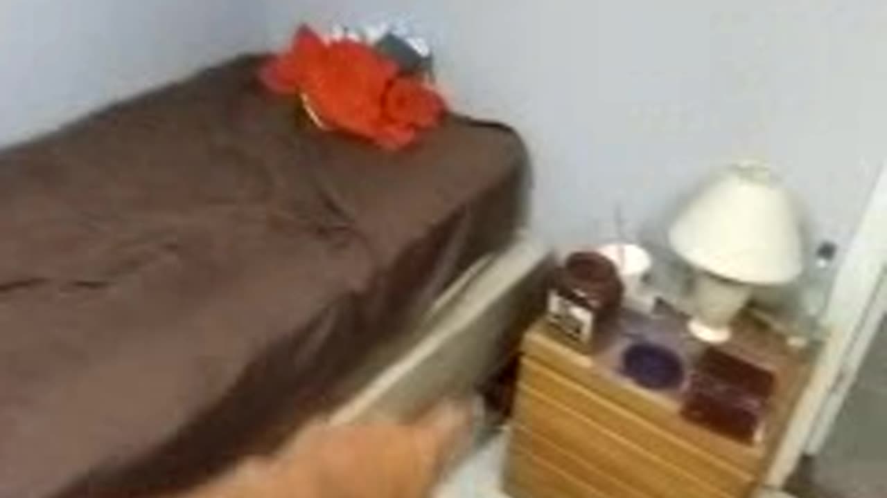 "LET THERE BE *JOY* IN THE HOLY GHOST!!!" JESUS PRAISED. FATHER EXALTED. GET JACKED, GOD'S WAY.