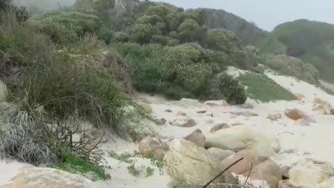 Engagement on Beach!