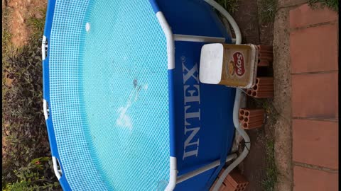 How was the pool water