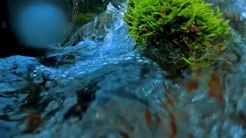 the sound of running water