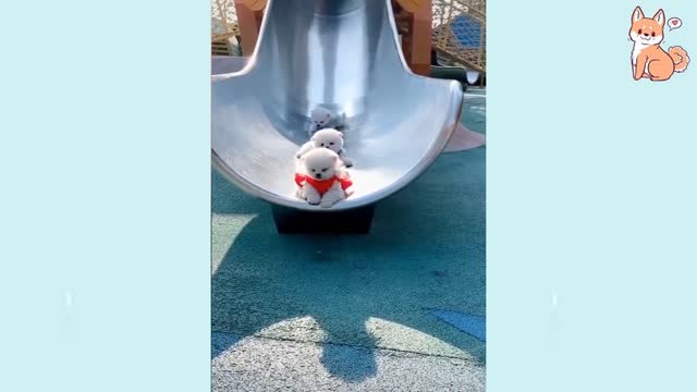 😂Funniest 🐶 Dogs TikTOK - Awesome Funny Pet Animals Life Videos 🤣