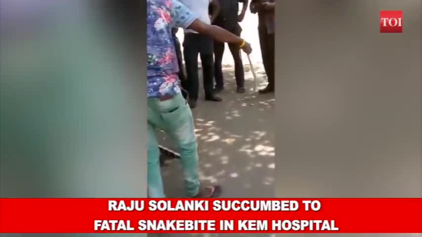 Youth dies while rescuing a cobra in India🐍