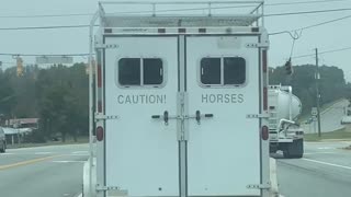 Horse Trailer Message Turns Out to Be True