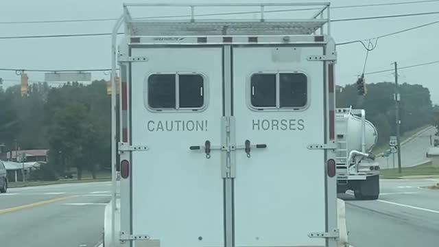 Horse Trailer Message Turns Out to Be True