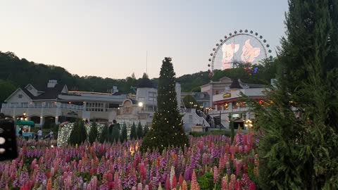 Four Seasons Garden in Everland, Korea.