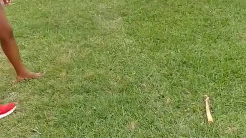 Greenspoint Park Fight (Mimi vs Chicago)