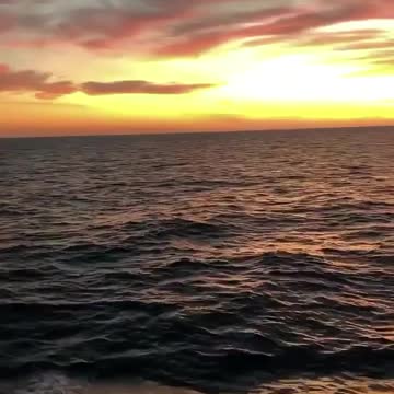 Wonserful Ocean View