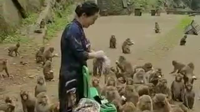 This is called Human Being