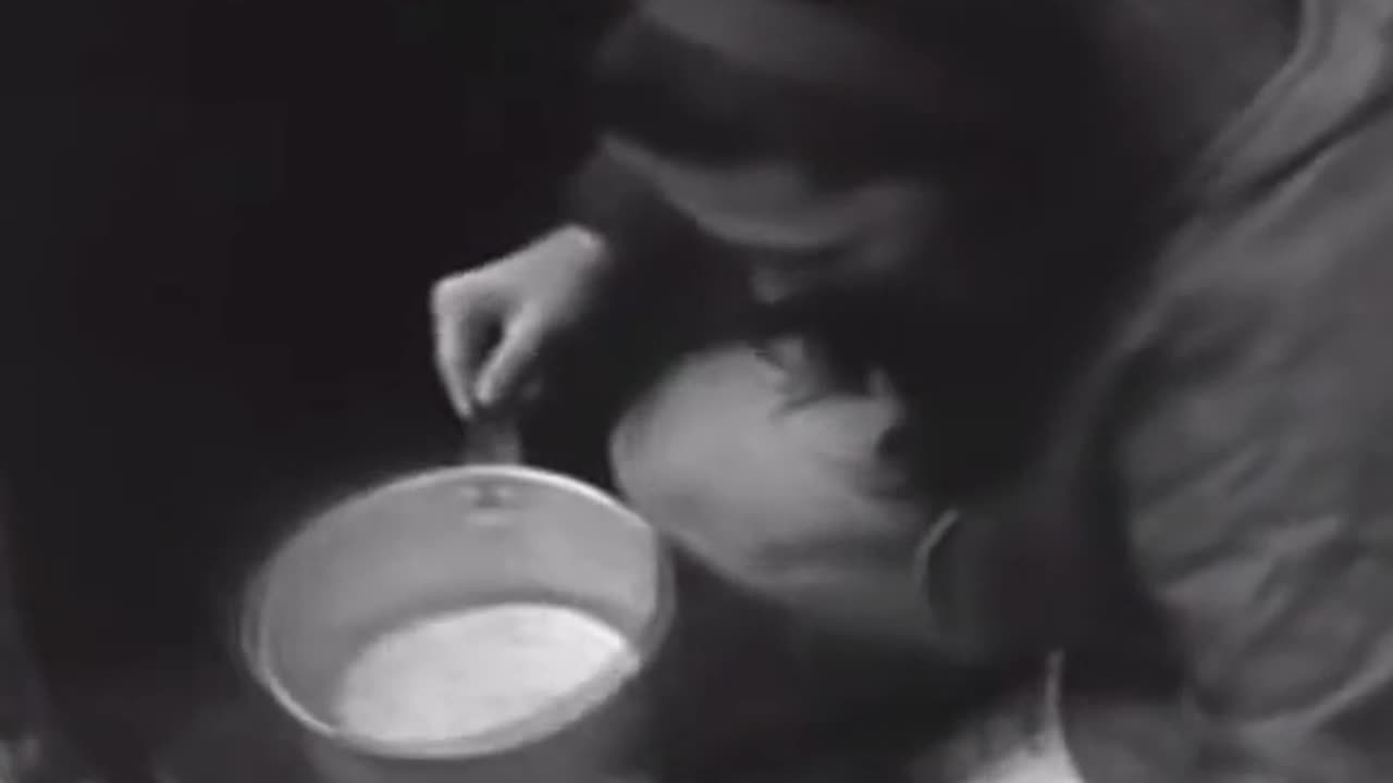 Darlene Chronicles - it's from the Documentary