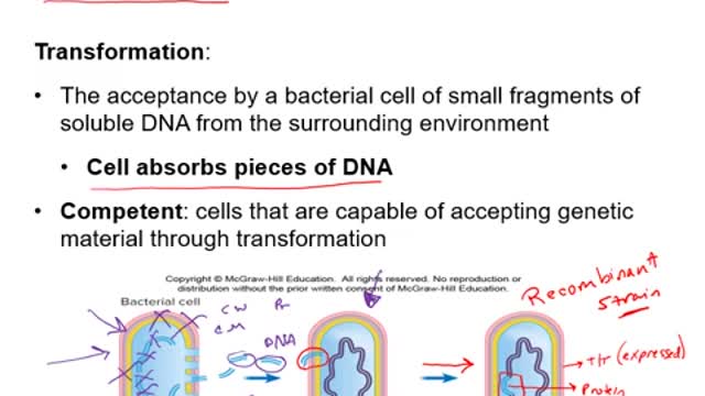 Microbial Genetics