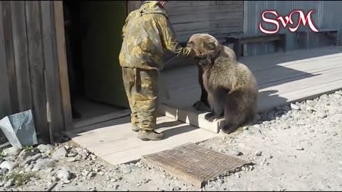 Russians playing with a brown bear in the cold region