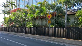 Bustop in and around Hawaii 2021 by Mcdonalds