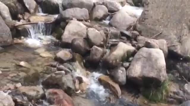 Almaty Mountain River, location Gorelnik