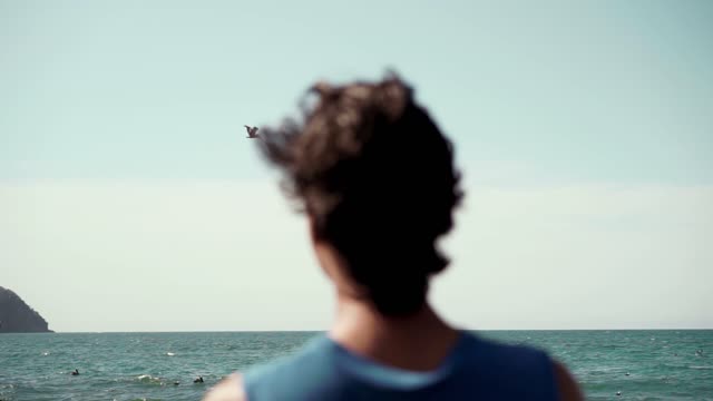 A Man Watching Sea Birds Flying at the Beach