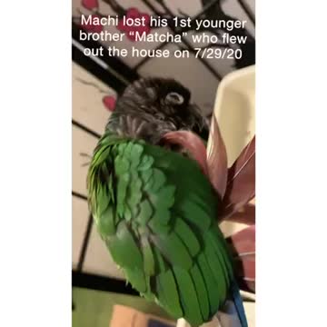 Mend The Broken Hearts