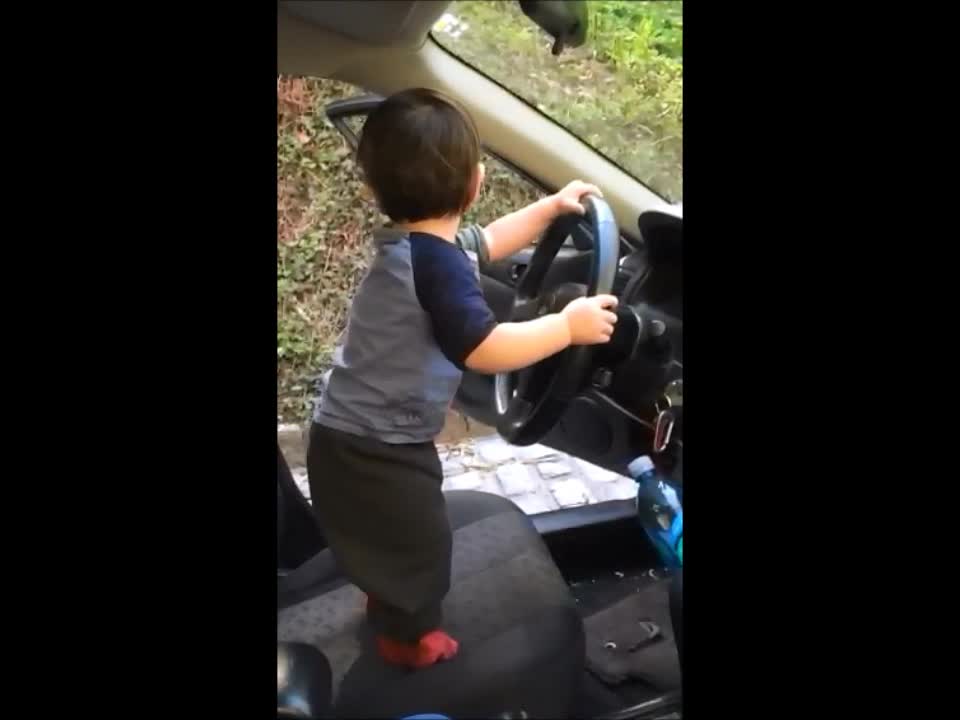 Toddler grooves to music while pretending to drive