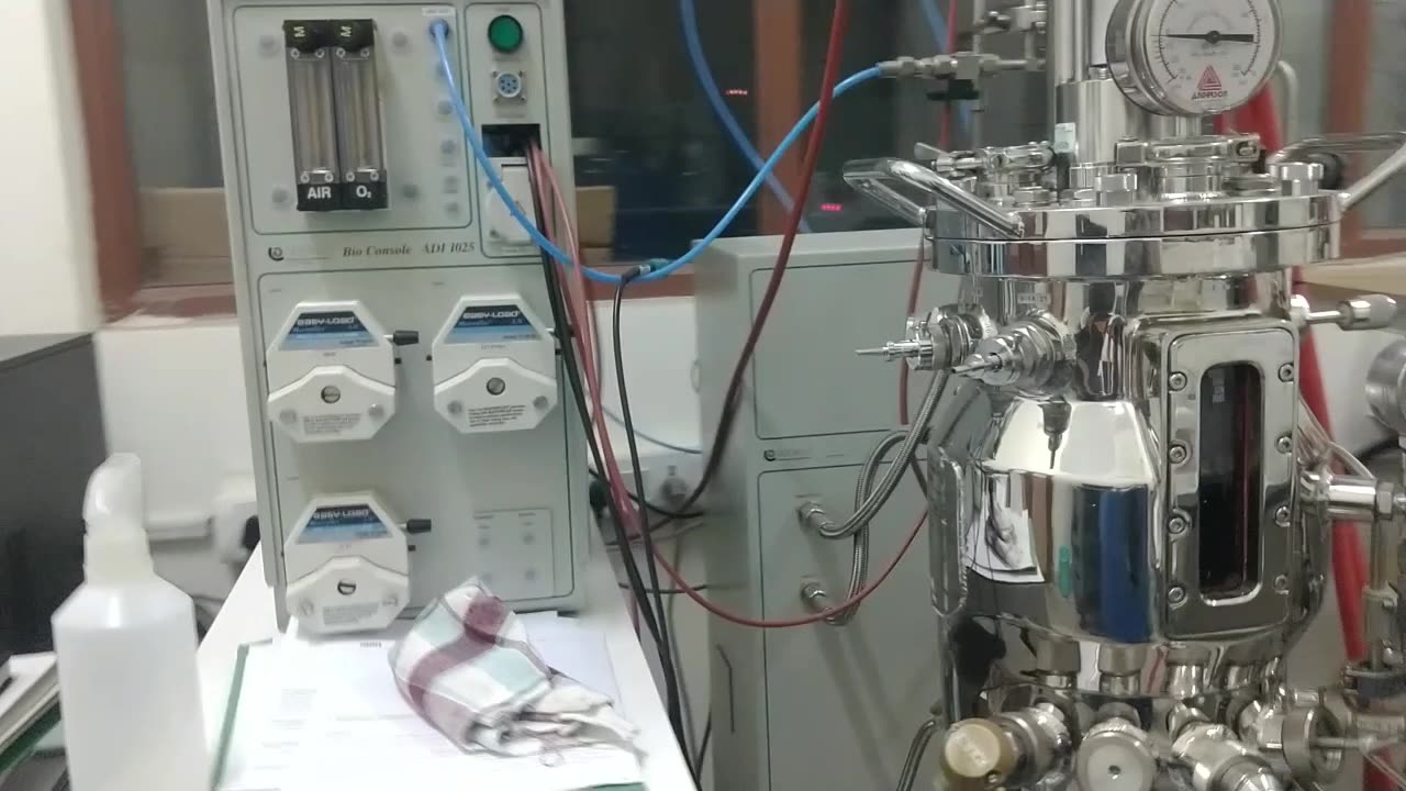 Fermentation Process