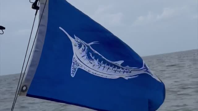 White Marlin Fishing.