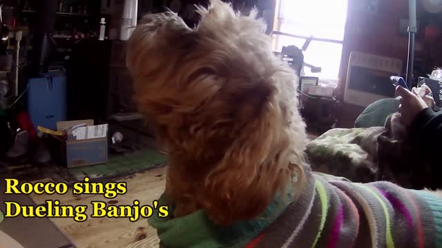 Rocco sings Dueling Banjos