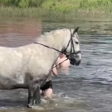 #shotoniphone meme #32 😍 LITTLE GIRL AND THE HORSE GO SWIMMING 😍