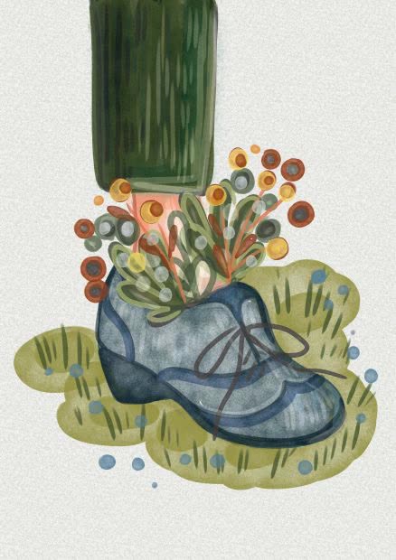 Drawing spring shoe ;-)