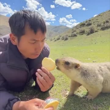 Sharing a snack with a curious marmot