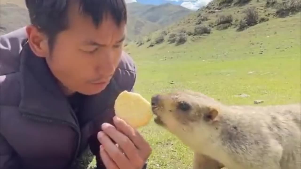 Sharing a snack with a curious marmot