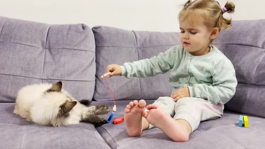 Cute_Baby_Catches_Fish_to_Feed_Funny_Cat