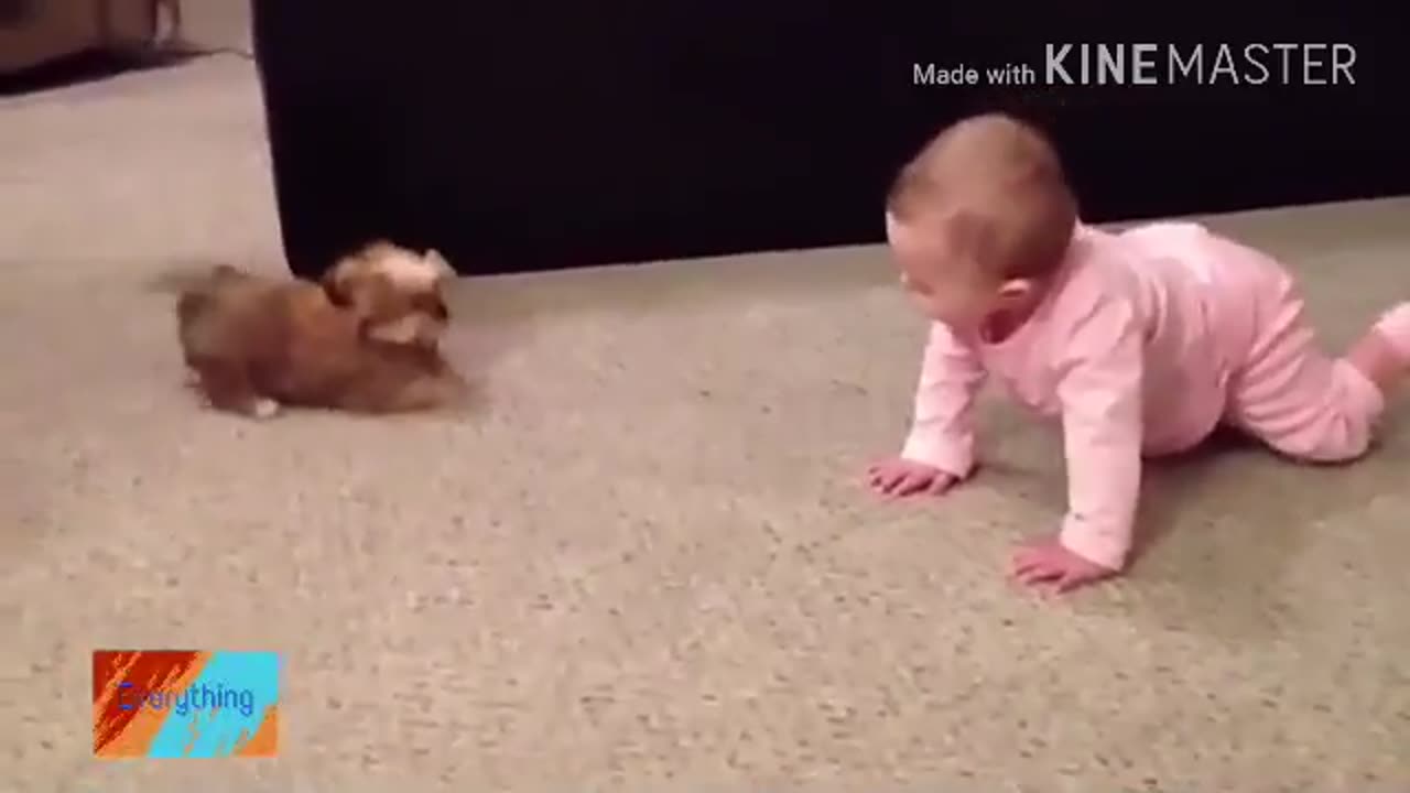 BABY TALKING DOG WITH VERRY FUNNY VIDEO