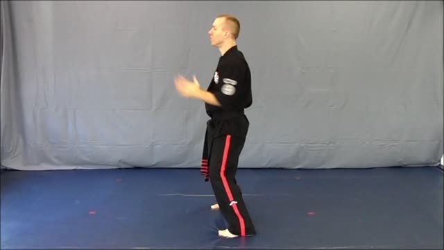 Basic Skillz Black Belt - Purple Stripe