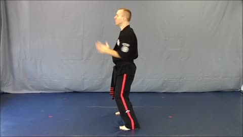 Basic Skillz Black Belt - Purple Stripe