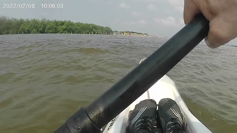 Birds and an attempt at a wake surf