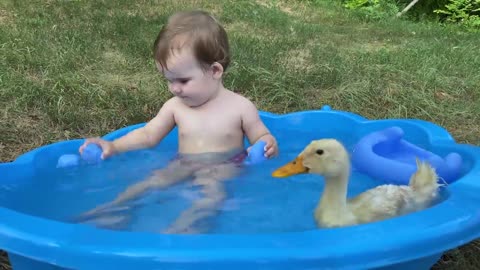 Funny baby reaction duckling to the pool