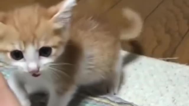 Mommy is watching 😂