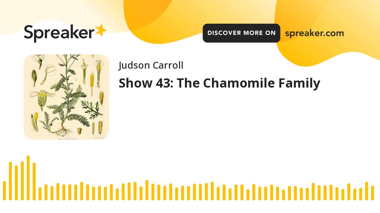 Show 43: The Chamomile Family (part 1 of 3)