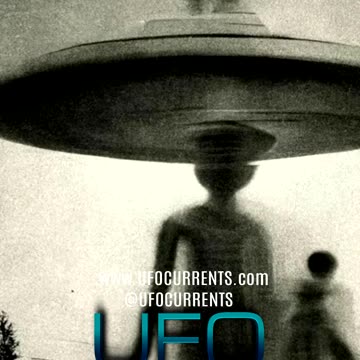 Greys, UFOs & Cattle Mutilations