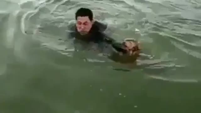 🤣 Awesome Funny Pet Animals Life Videos 😇