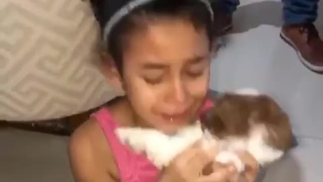 I gave a dog my daughter look at his reaction