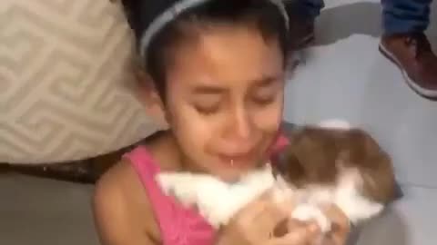 I gave a dog my daughter look at his reaction