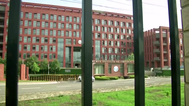 Data withheld from team probing COVID in Wuhan -WHO