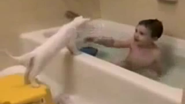 Baby Pulls Cat In Bathtub!!