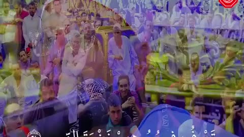 الشيخ محمود الشحات انور